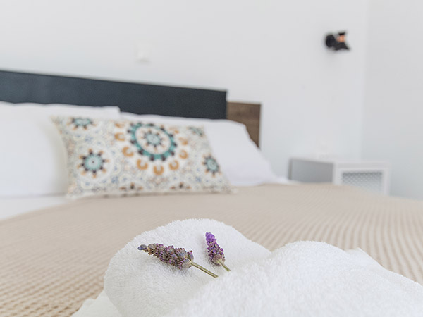 PAROS SEA VIEW APARTMENTS QUADRUPLE FAMILY 016